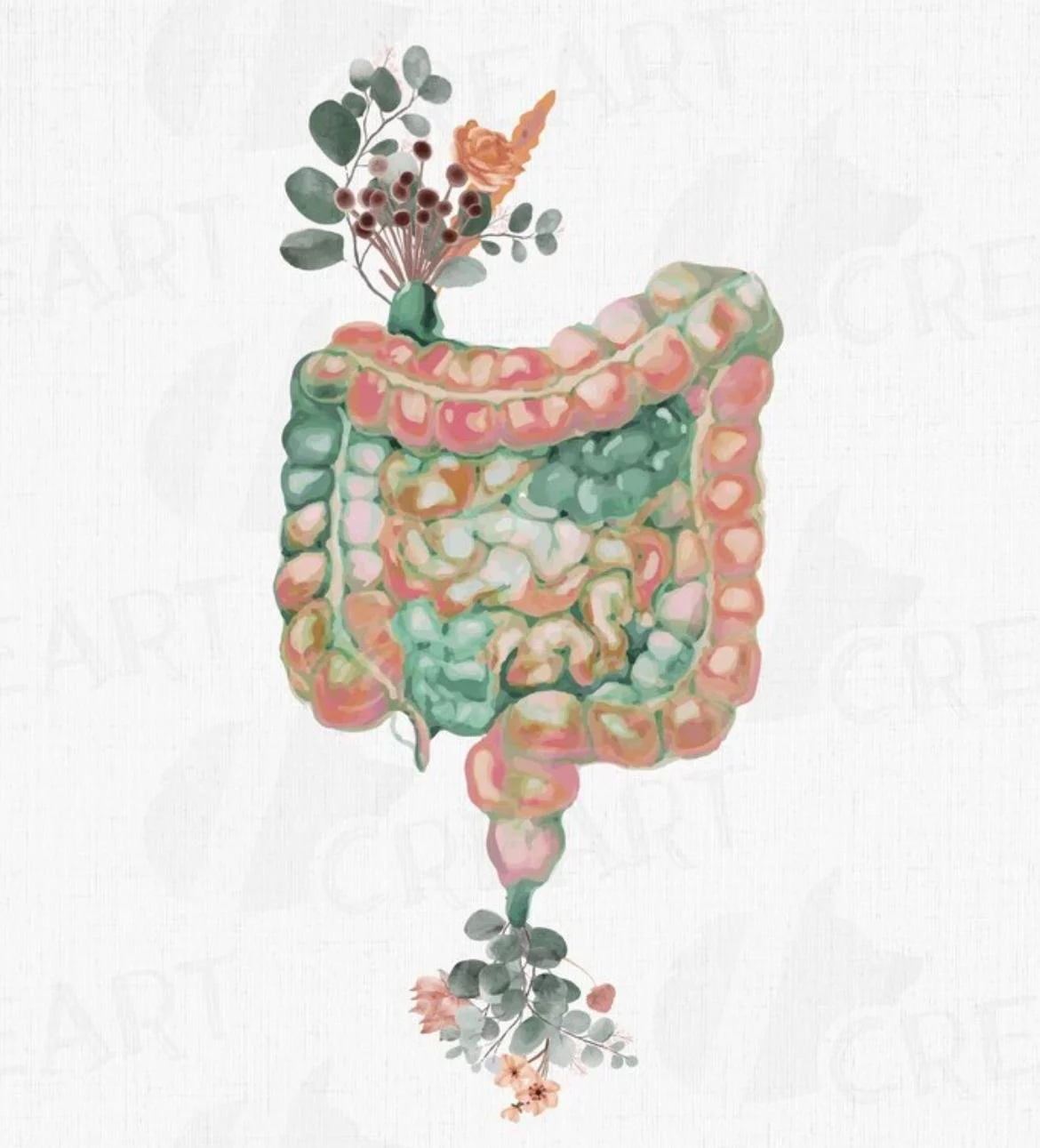 Holistic colon health illustration - colonic irrigation Sydney
