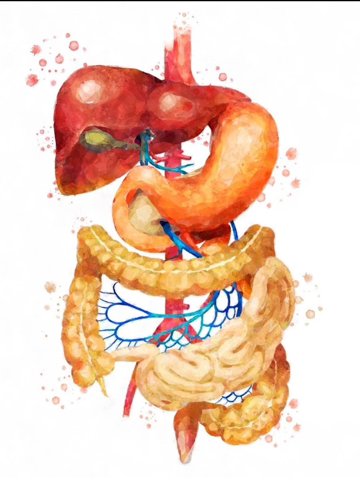 Colonic Irrigation Sydney - Colon Hydrotherapy Liverpool
